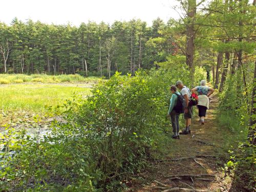 trail at Farandnear Reservation in September near Shirley in northeast Massachusetts