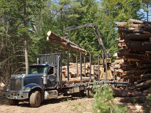 lumbering at West End Farm Trail in Concord, New Hampshire