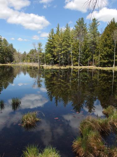 pond alongside the West End Farm Trail in Concord, New Hampshire