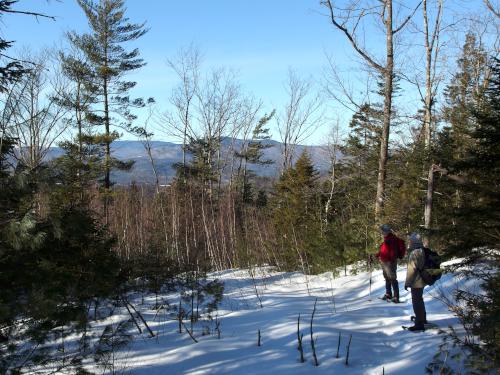 view north of Stinson Mountain from Fauver East Trail in New Hampshire