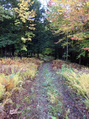 hiking trail at Flatrock Hill in southwestern New Hampshire