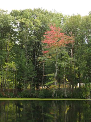 Nashua River as seen in September from Flints Brook Trail near Hollis in southern NH