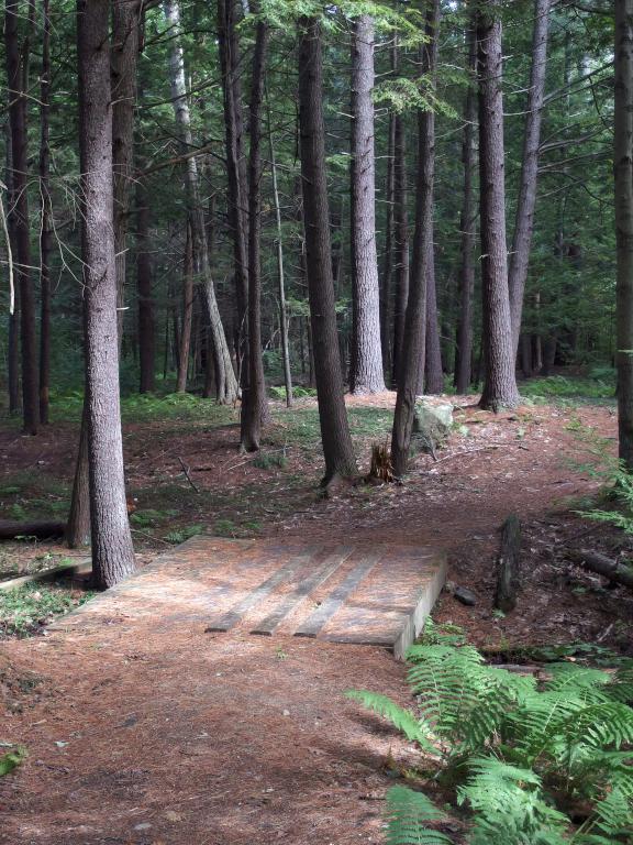 woods in September on Flints Brook Trail near Hollis in southern New Hampshire