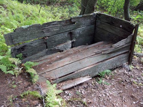 old box in September at Fork Factory Brook in eastern Massachusetts