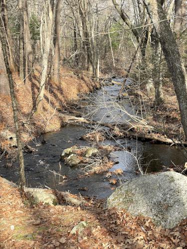 brook in November at Forty Caves in eastern Massachusetts