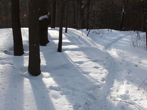 snowy path around Foster's Pond at Windham in southern New Hampshire