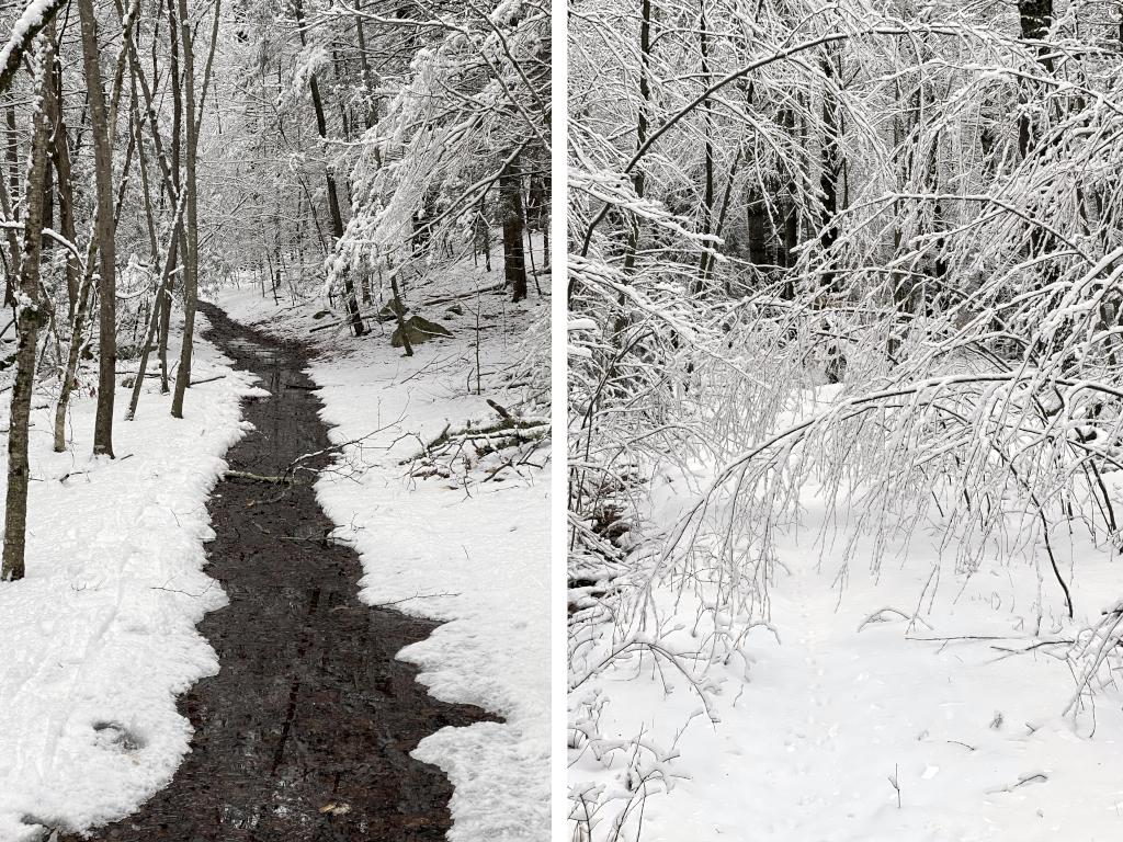 poor trail sections in January at Francis Cormier Trail in southern NH