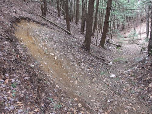 Mighty Chicken Trail at Franklin Falls Trails in New Hampshire