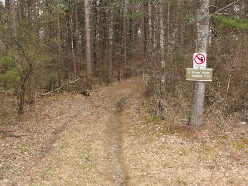 Piney Point Trail at Franklin Falls Trails in New Hampshire