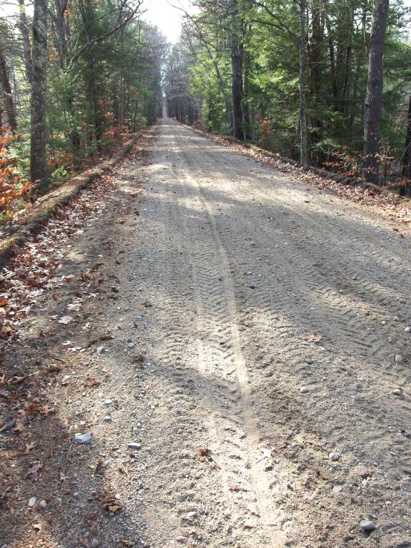 sandy trail in November on the Fremont Rail Trail in southern New Hampshire