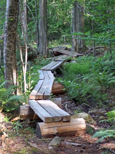 footbridge at Frye Town Forest in Kingston, New Hampshire