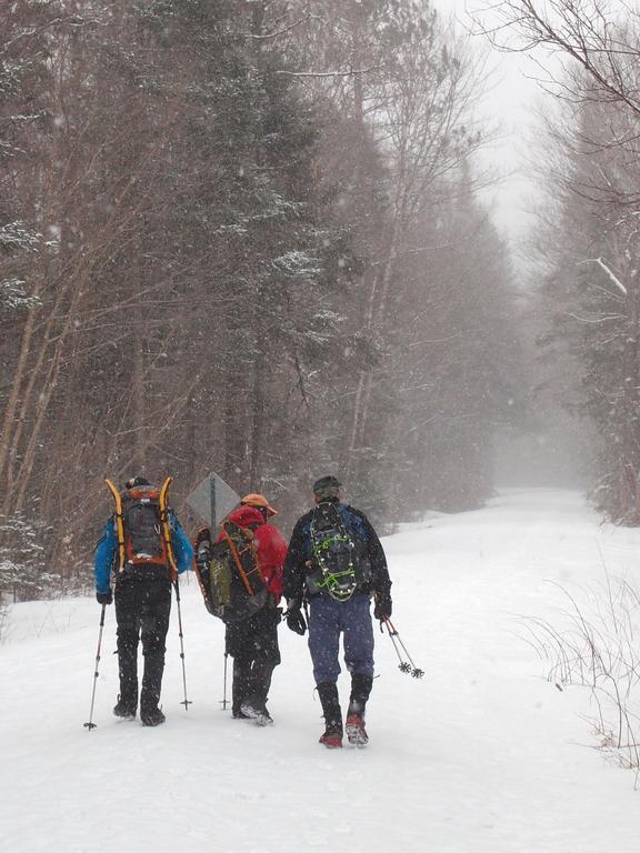 hikers starting up the closed access road on the way to Mount Garfield in New Hampshire