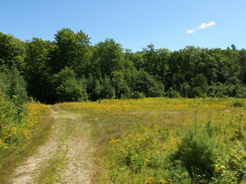 snowmobile trail on Gates Mountain in southwestern New Hampshire