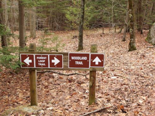 sign and trail at Glen Oakes Town Forest in New Hampshire