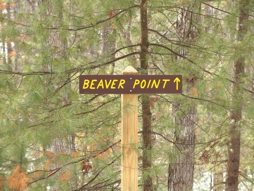 trail sign at Goldsmith Reservation in Massachusetts