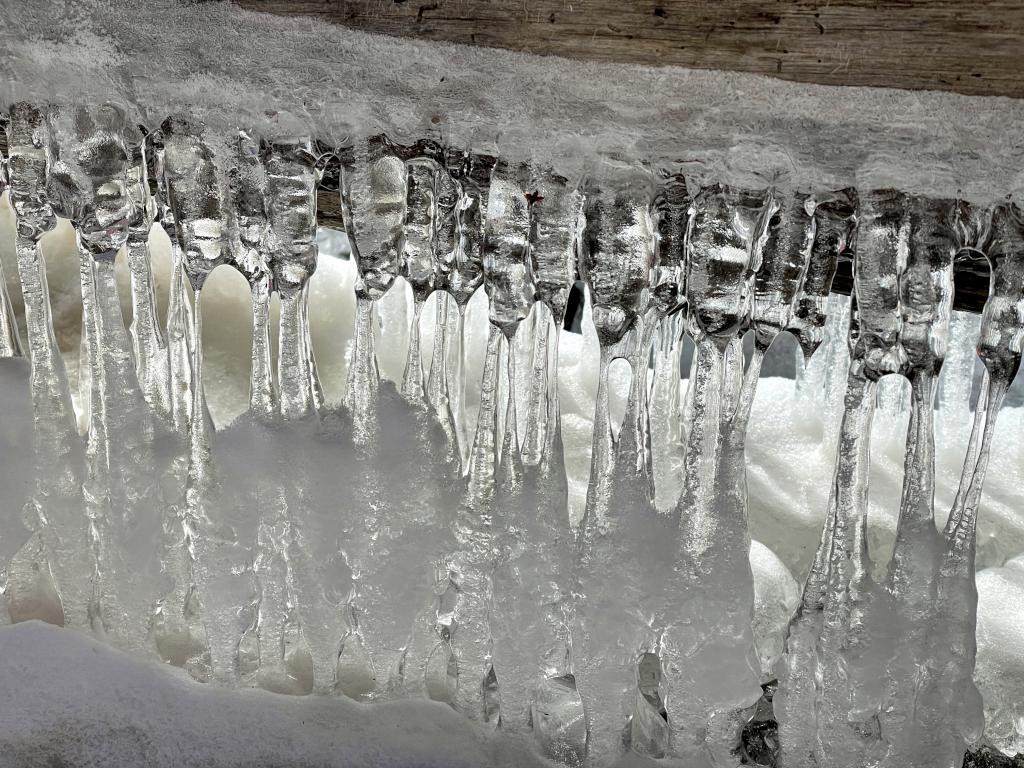 icicles in February at Gonic Trails near Rochester in southeast New Hampshire