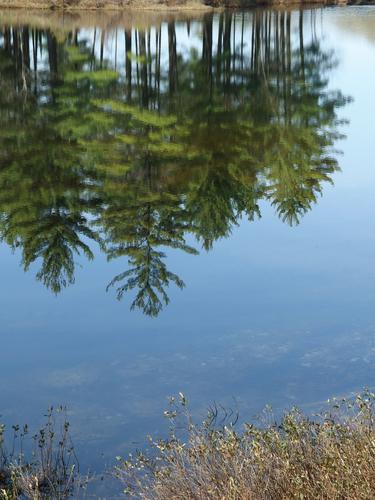 view of Goose Pond at Keene in southwestern New Hampshire