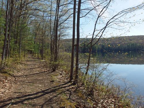 trail beside Goose Pond at Keene in southwestern New Hampshire