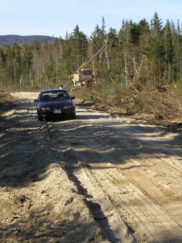 access road to Goose Eye Mountain in Maine