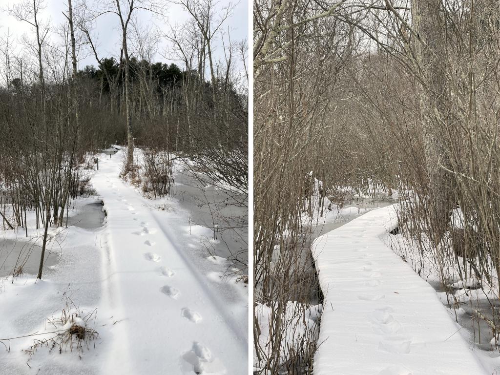 boardwalk in January at Grassy Pond Conservation Land in northeast MA