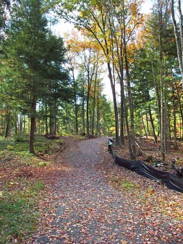 Red Maple Trail through Grater Woods at Merrimack in southern New Hampshire