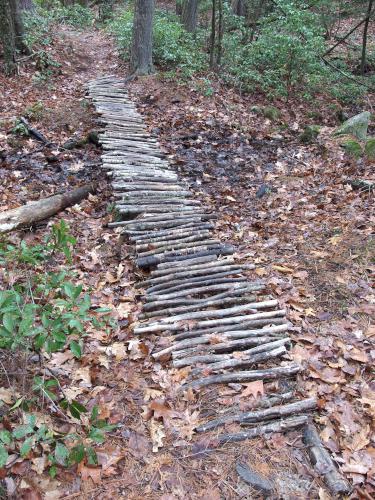 footbridge at Grater Woods (west side) in southern New Hampshire