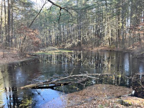 Haynes Meadow in December at Gray Reservation in eastern Massachusetts