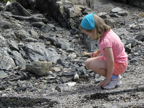 young visitor at Great Island Common in New Hampshire