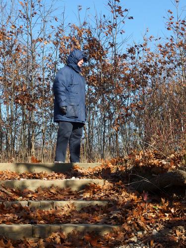 Betty Lou stands at the top of a stairway down to the water's edge at Great Bay NERR in New Hampshire