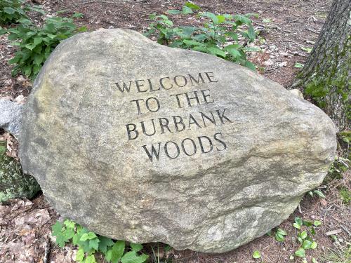 boulder sign in June at Great Brook Trail in southern New Hampshire