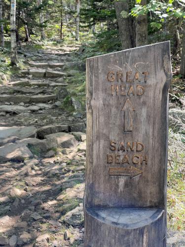 trail in August on Great Head at Acadia National Park in Maine