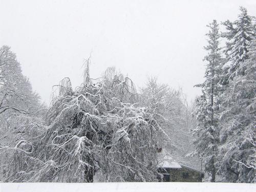 winter snowscape at Greeley Park in Nashua, New Hampshire