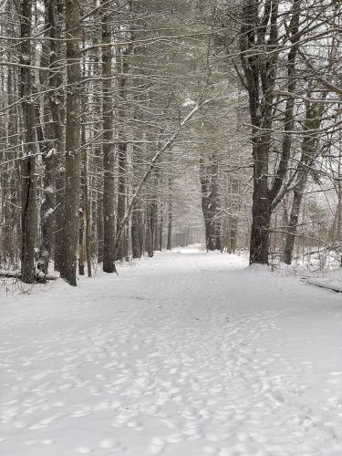 road in February at Greeley Park in Nashua, New Hampshire