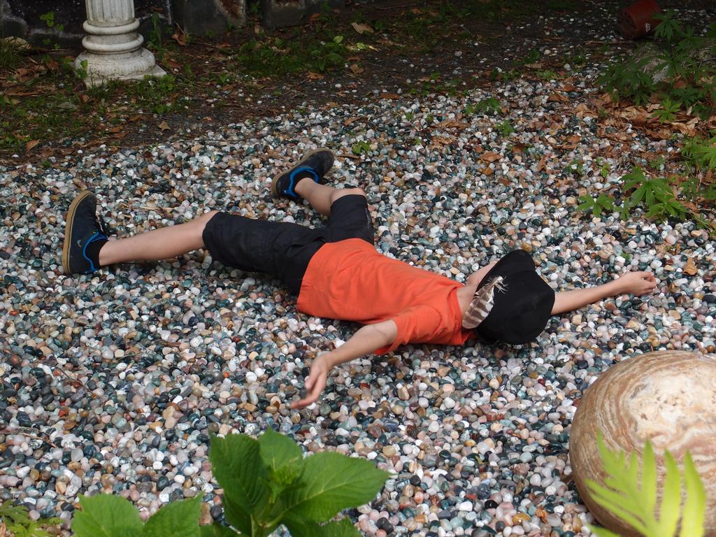 Anthony luxuriates on a bed of semi-precious pebbles at the Gemstar store at Enfield in New Hampshire