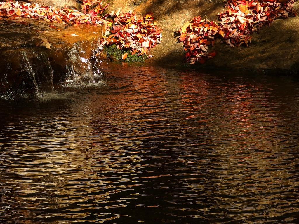 a serene pool in October alongside the Appalachian Trail in White Rocks National Recreation Area in southern Vermont