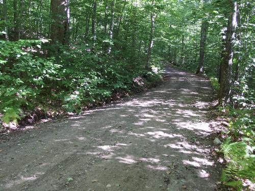 forest road access toward Green Mountain at Hubbard Brook Experimental Forest in the White Mountains of New Hampshire