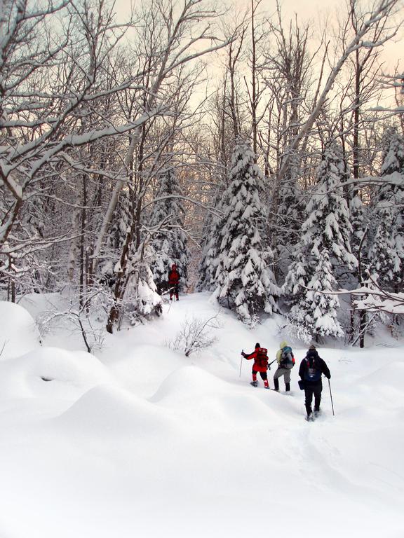 February hikers cross the Swift River on the way to Greens Cliff in New Hampshire