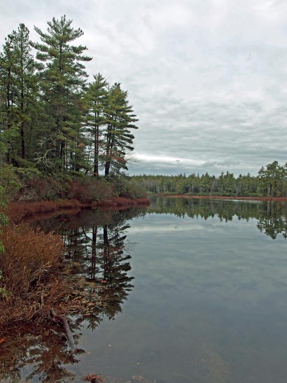 Pratt Pond in November at Greenville-Mason Rail Trail in southern New Hampshire