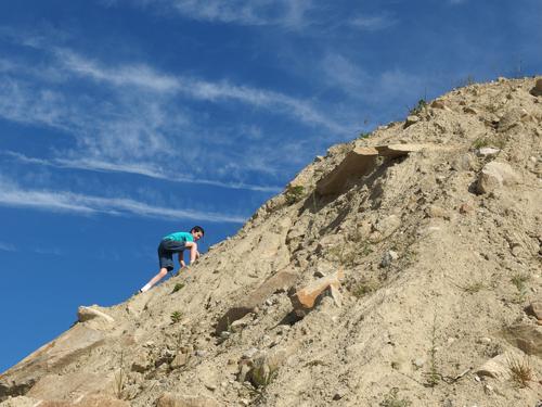 Ben climbs a huge dirt pile at the edge of Greystone Trails in eastern Massachusetts