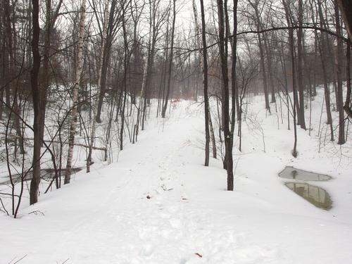 hiking trail at Gumpus Pond Conservation Area in southern New Hampshire