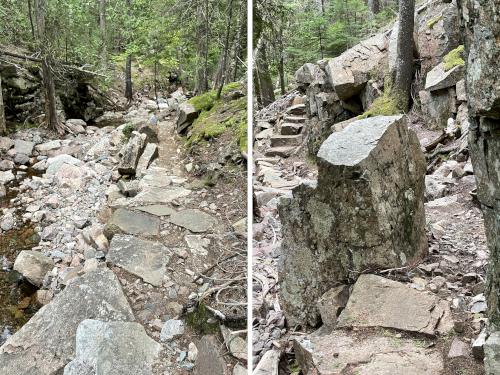 Maple Spring Trail in September at Acadia National Park in Maine