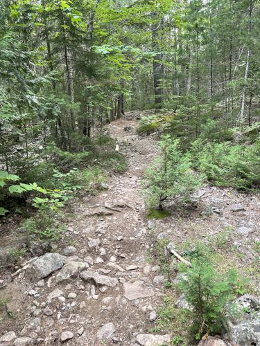 Hadlock Brook Trail in September at Acadia National Park in Maine