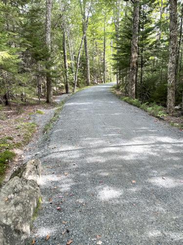 carriage road in September near Hadlock Brook Trail in Acadia National Park in Maine