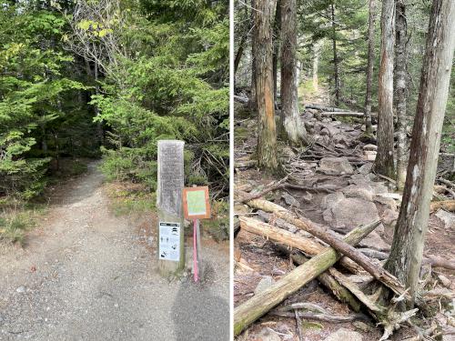 Hadlock Brook Trail in September at Acadia National Park in Maine