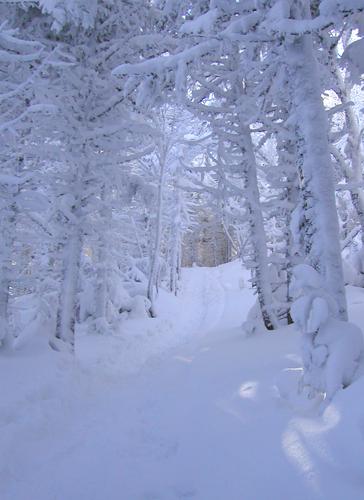 snow tunnel