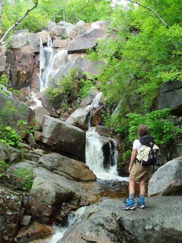 hiker at Zealand Falls in New Hampshire