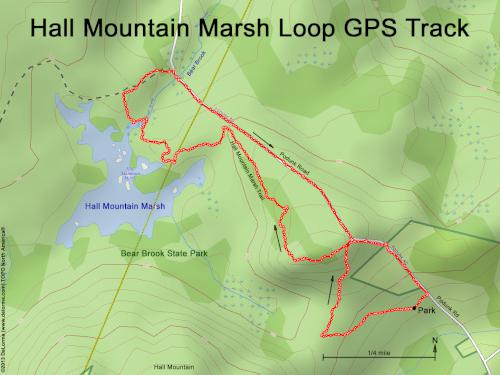 GPS track in July on Hall Mountain Marsh Trail at Bear Brook State Park in southern NH