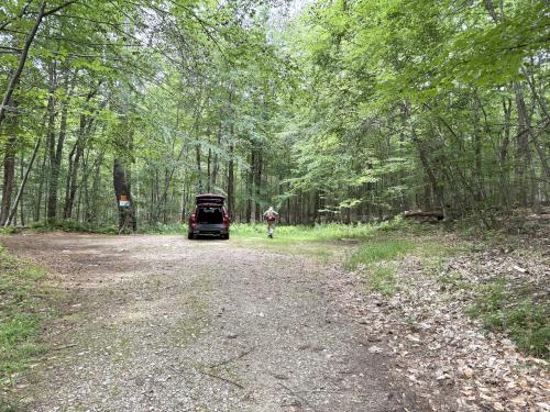 xxx in July on Hall Mountain Marsh loop at Bear Brook State Park in southern NH