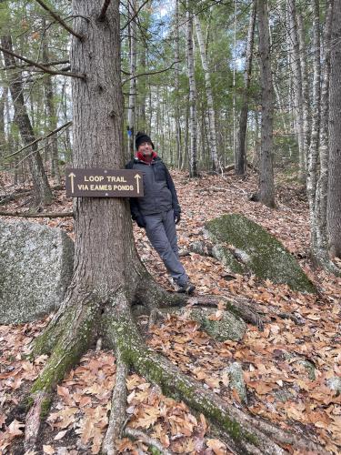 trail in November at Hamlin Conservation Area in New Hampshire