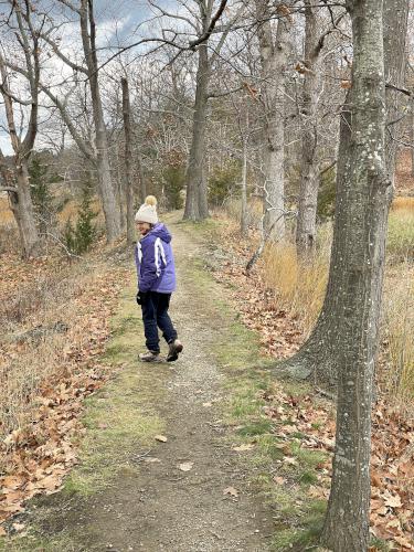 Andee at Hamlin Reservation in northeast Massachusetts